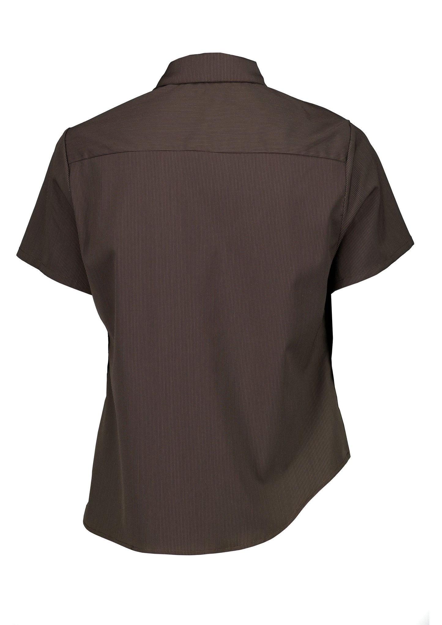 Williamsburg Shirt